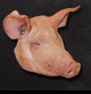 หัวหมู มีลิ้นและหู